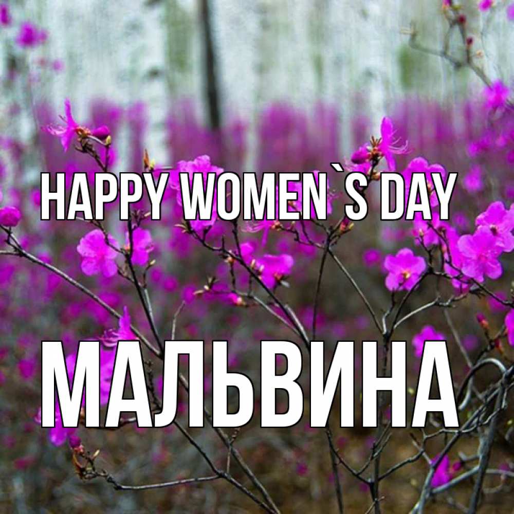 Greetings card с именем, Мальвина happy women`s day дикие цветы Greetings with text for free download 